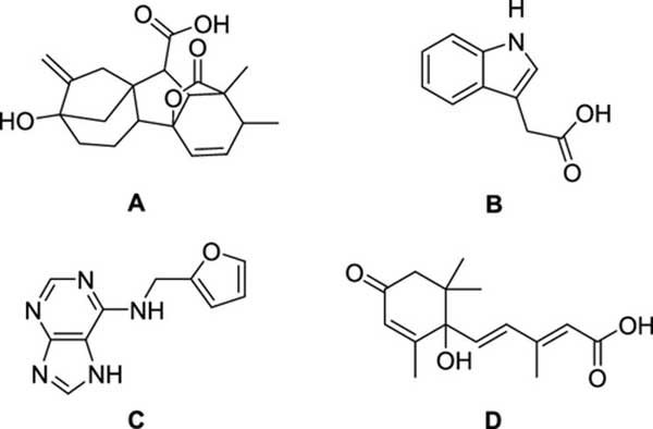 植物生長促進劑的結(jié)構(gòu)